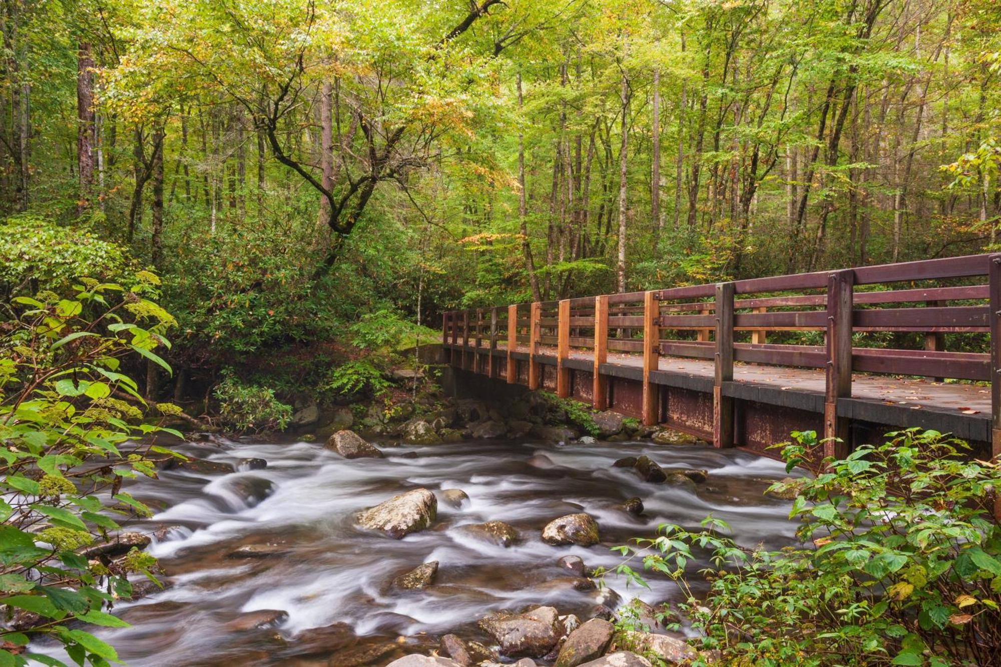 A Million Dollar View- Get 951 Worth Of Free Area Attraction Tickets For Each Paid Day! Villa Gatlinburg Eksteriør bilde